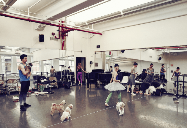 mrs+sizzle+noe+dewitt