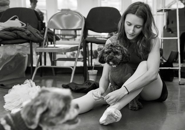 mrs+sizzle+now+dewitt